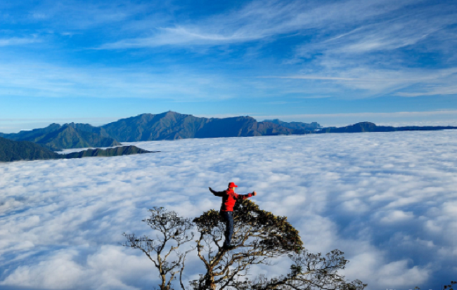 Khám phá Tà Xùa – Thiên đường mây ở Sơn La