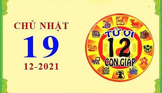 Xem chi tiết tử vi hôm nay Chủ Nhật ngày 19/12/2021: Tý vận trình suôn sẻ, Thìn hế sức thận trọng