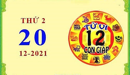 Xem chi tiết tử vi hôm nay Thứ Hai ngày 20/12/2021: Dần gặp nhiều may mắn, Tỵ Gặp nhiều rắc rối