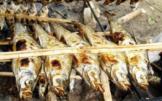 Cá nướng Pác Ngòi là món ăn rất nổi tiếng. Ảnh- poliva