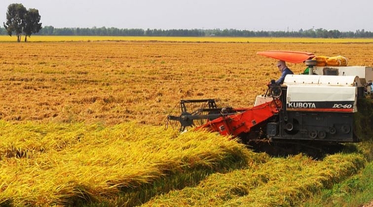 Hỗ trợ người dân thu hoạch lúa trong bối cảnh dịch Covid-19