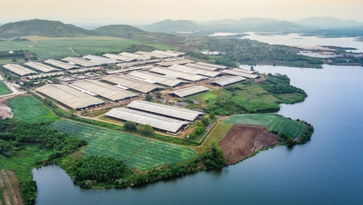 Giải thưởng Chất lượng quốc tế vinh danh nhà sản xuất sữa tươi sạch từ đồng đất Việt