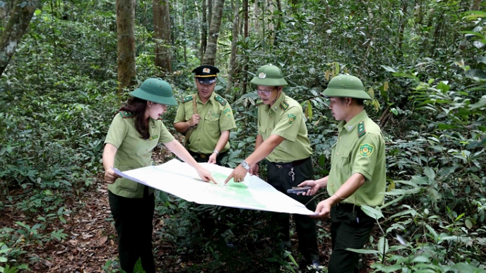 Bình Định: Triển khai xây dựng phương án quản lý rừng bền vững
