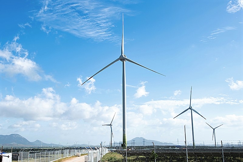 Đắk Nông sắp có nhà máy điện gió hơn 1.000 tỷ đồng
