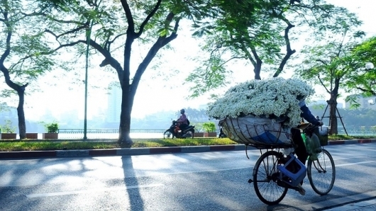Những địa điểm checkin sống ảo tại Hà Nội: Tinh khôi mùa Cúc họa mi