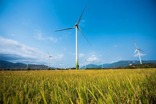Phú Yên: Sắp có dự án điện gió đầu tiên
