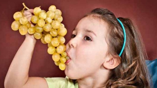 Những loại trái cây tăng sức đề kháng cho trẻ nhỏ