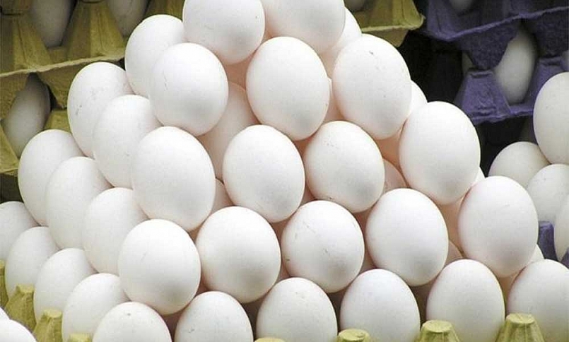 Giá trứng vịt tại Nghệ An giá rẻ vẫn khó bán