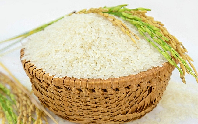 Vì sao Việt Nam nhập gạo từ Ấn Độ?