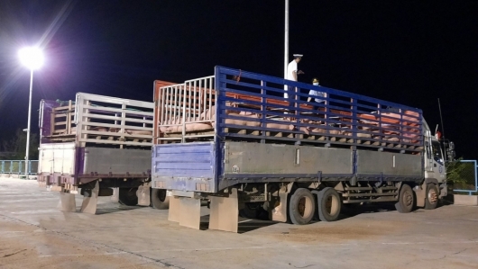 Tăng cường kiểm soát vận chuyển lợn, sản phẩm từ lợn qua biên giới