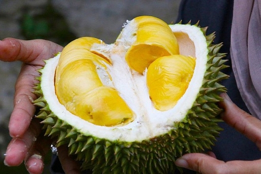 Xây dựng thương hiệu sầu riêng Việt Nam tại thị trường quốc tế
