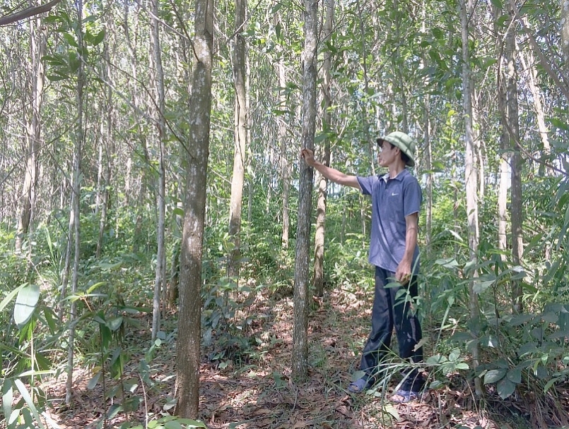 Thanh Hóa: Hỗ trợ người dân Mường Lát phát triển rừng