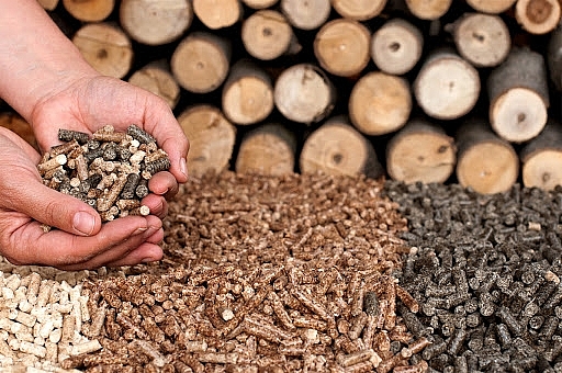 Việt Nam xuất lô gỗ sinh khối đầu tiên sang Nhật Bản
