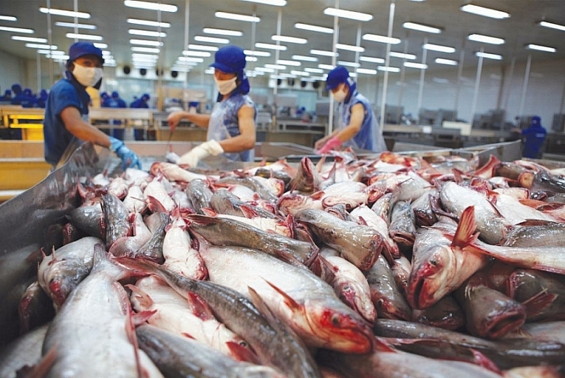 Xuất khẩu cá, tôm Việt Nam gặp khó tại thị trường Brazil