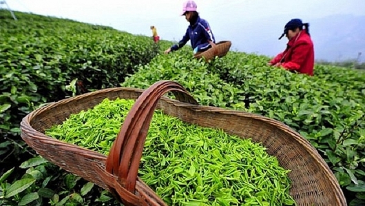 Xuất khẩu hàng hóa sang Ba Lan - cửa ngõ vào EU