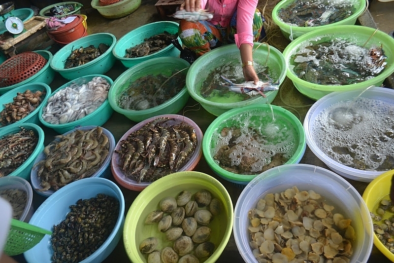 Quảng Ninh phát triển bền vững nguồn lợi thủy hải sản