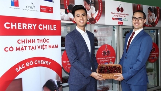 Lần đầu tiên cherry Chile chính thức được giới thiệu tại thị trường Việt Nam