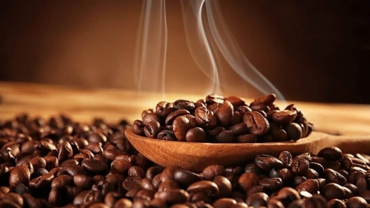 Xuất khẩu cà phê sang Hàn Quốc tăng cả giá và lượng