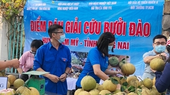 TP Hồ Chí Minh tích cực giải cứu nông sản