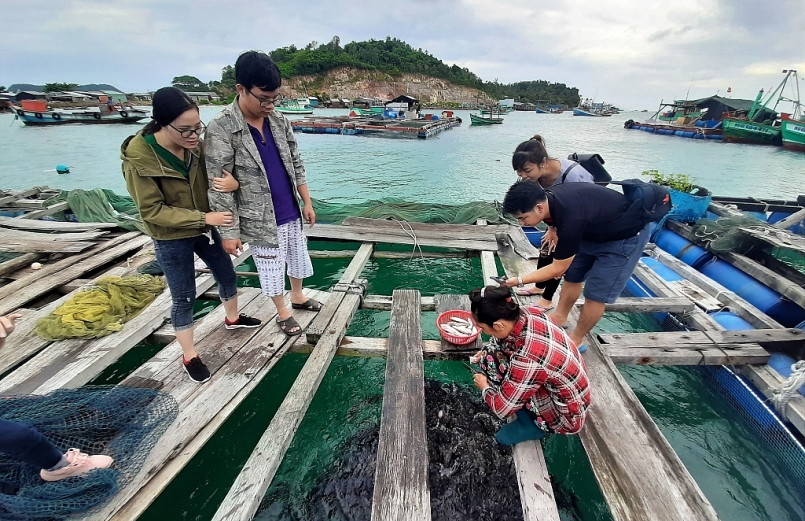 Kiên Giang muốn đầu tư trên 12 nghìn tỷ đồng phát triển nuôi biển bền vững