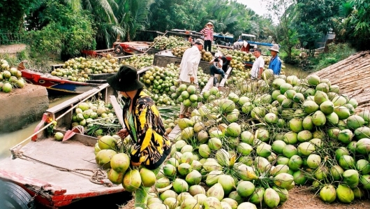 Bến Tre tái cơ cấu nông nghiệp theo hướng hiện đại