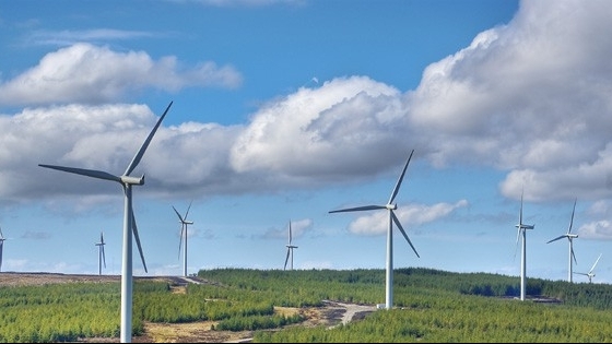 Phú Yên dùng 11ha đất rừng làm dự án điện gió