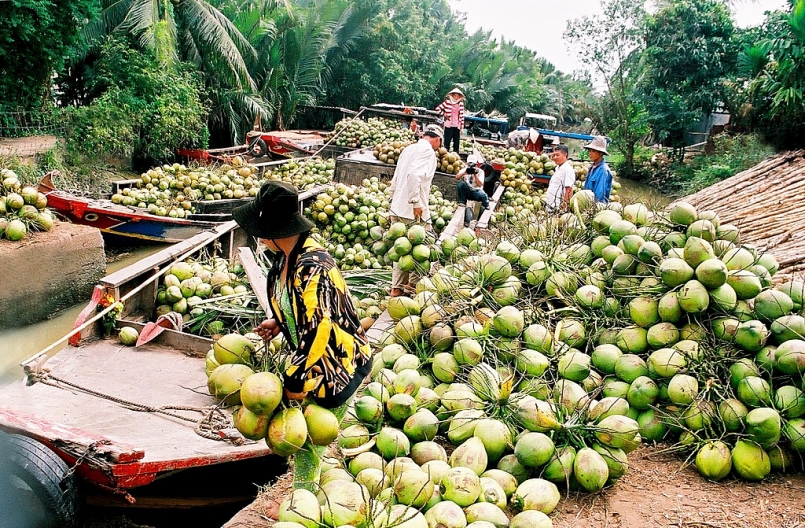 Bến Tre tái cơ cấu nông nghiệp theo hướng hiện đại