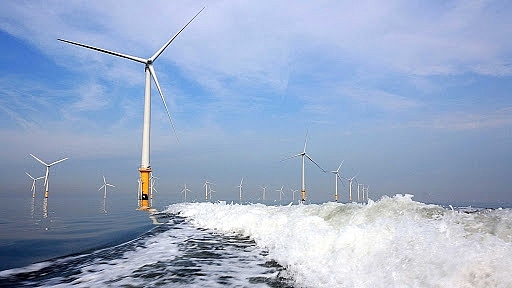 Điện gió tại Việt Nam: Vươn khơi để phát triển