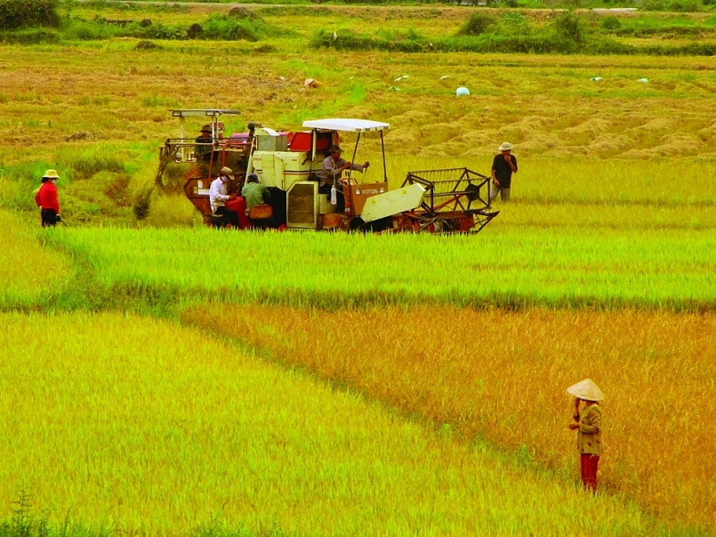 Hưng Yên thu hút đầu tư vào nông nghiệp