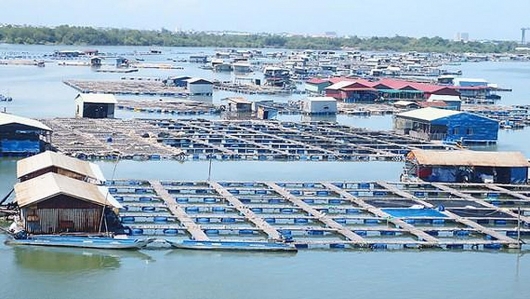 Hà Nội nuôi thủy sản ứng dụng công nghệ cao
