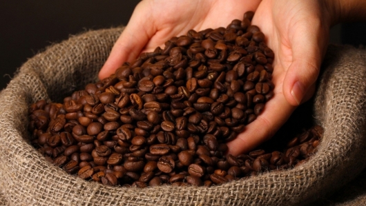 Giá cà phê hôm nay 16/10: Nhích nhẹ 300 đồng/kg