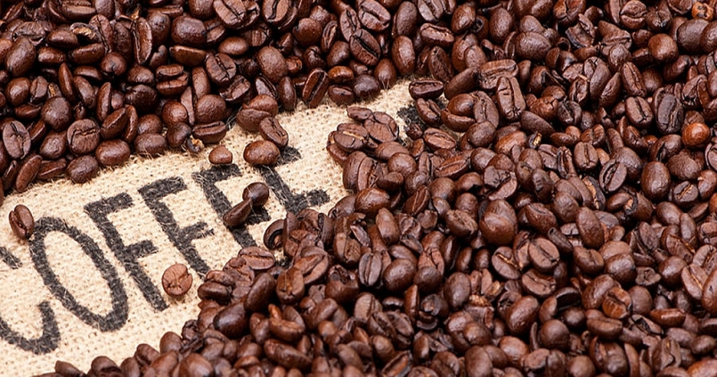 Giá cà phê hôm nay 18/10: Vượt mốc 32.000 đồng/kg