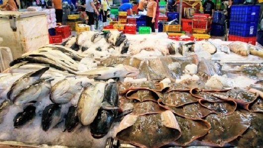 Quảng Ninh đẩy mạnh tiêu thụ thủy hải sản tại thị trường nội địa