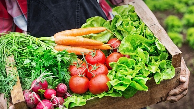 Thúc đẩy sản xuất và phát triển thị trường sản phẩm nông nghiệp hữu cơ
