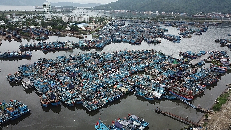 Bình Định nâng cấp hệ thống cảng cá để ứng phó thiên tai