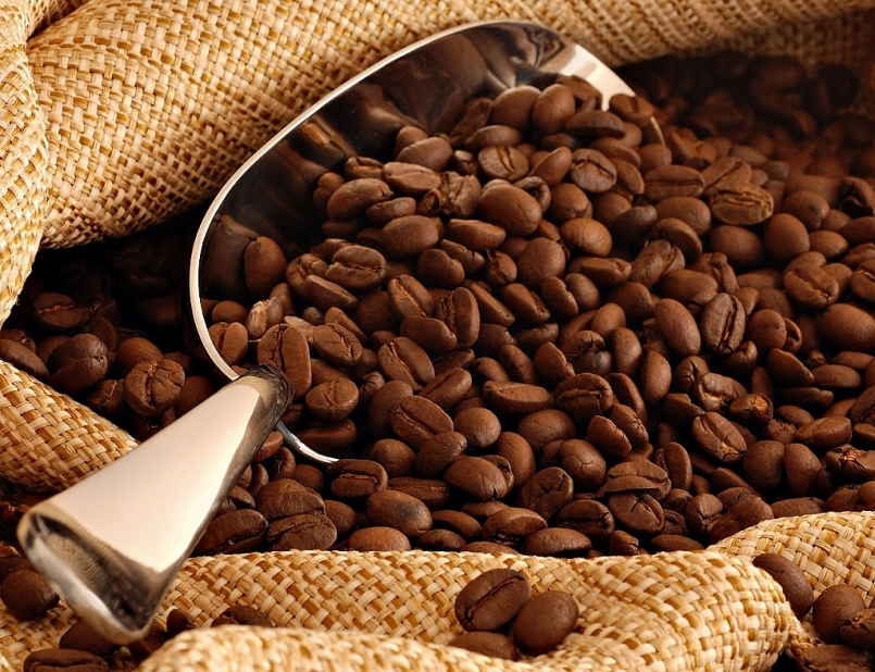 Giá cà phê hôm nay 8/11: Vượt mốc 33.000 đồng/kg