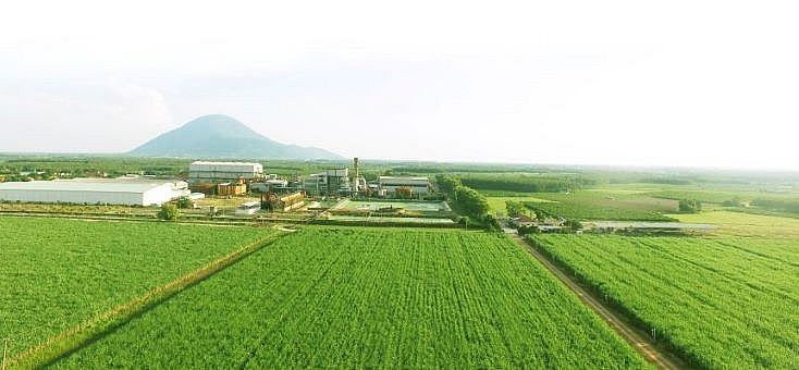 Hút đầu tư vào nông nghiệp Tây Ninh