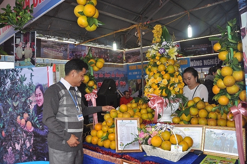 Chuẩn bị diễn ra Lễ hội Cam và các sản phẩm nông nghiệp Hà Tĩnh