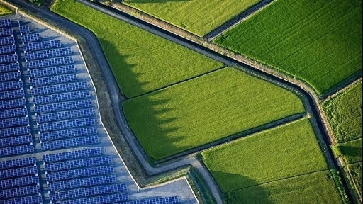 Kết hợp sản xuất nông nghiệp công nghệ cao với điện mặt trời áp mái