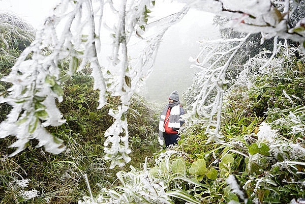 Du lịch mùa lạnh: Băng giá trên đỉnh Mẫu Sơn