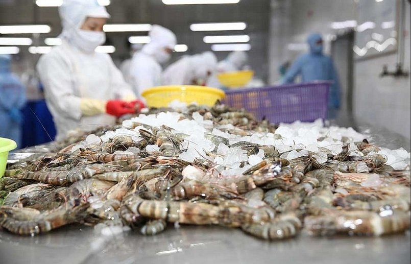 Sắp thí điểm chương trình truy xuất nguồn gốc sản phẩm thủy sản bằng điện tử Sắp thí điểm chương trình truy xuất nguồn gốc sản phẩm thủy sản bằng điện tử