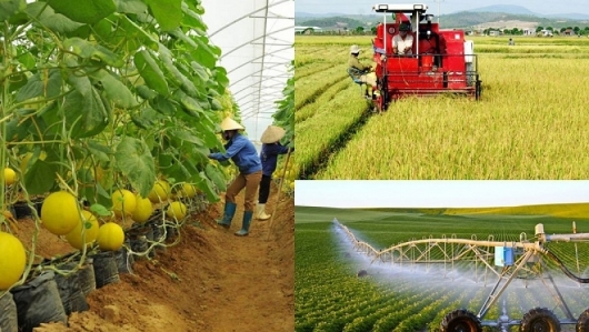 Hết năm 2020, tăng trưởng GDP ngành nông nghiệp đạt 2,65%