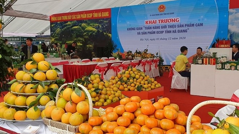 Kết nối cung - cầu, giới thiệu sản phẩm cam Hà Giang tại Quảng Ninh Kết nối cung - cầu, giới thiệu sản phẩm cam Hà Giang tại Quảng Ninh