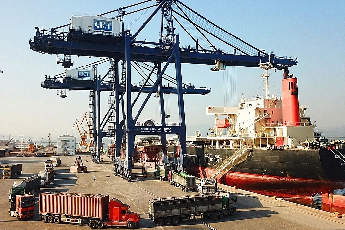 Vận tải container tăng giá bất thường, Cục Hàng hải chỉ đạo 