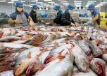 Cơ hội gỡ thẻ vàng IUU: Chạy nước rút để tránh vực thẳm