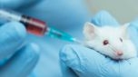 Viện Pasteur của Pháp thử nghiệm vắcxin chống COVID-19 trên chuột