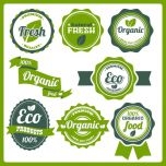 Thực phẩm hữu cơ Organic đang là xu hướng?
