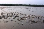 Đưa bảo hiểm nông nghiệp đến gần hơn với người nông dân