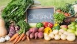 Thực phẩm organic - an toàn cho người sử dụng