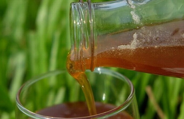 Thương hiệu “Mật ong hoa cà phê” xuất xứ Đắk Lắk đã được nhiều người biết đến như một đặc sản của vùng Cao Nguyên lộng gió.